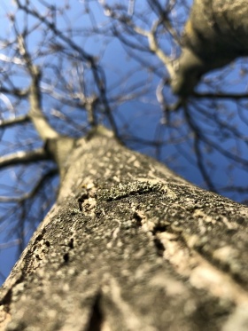 Artykuł: 