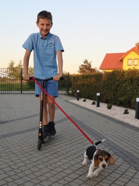Artykuł: Dbaj o zdrowie i #ZostanwDomuzPupilem - Zdjęcie 208210