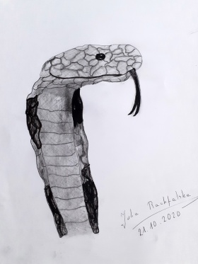 Artykuł: 
