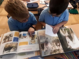 Artykuł: Prrr! Iha! Wiśta-wio! – czyli poznajemy życie koni - Zdjęcie 30886