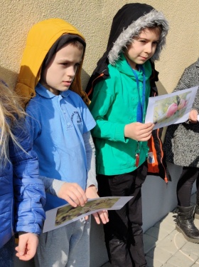 Artykuł: ,,Kubusiowi Przyjaciele Natury