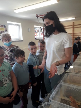 Artykuł: Węże, gekony i skorpiony na wyciągnięcie ręki - Zdjęcie 33522