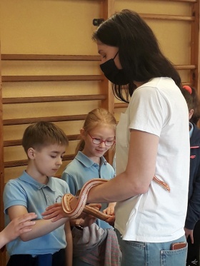 Artykuł: Węże, gekony i skorpiony na wyciągnięcie ręki - Zdjęcie 33527