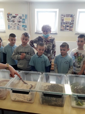 Artykuł: Węże, gekony i skorpiony na wyciągnięcie ręki - Zdjęcie 33528