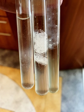 Artykuł: Bliskie spotkanie z DNA? To możliwe! - Zdjęcie 33603
