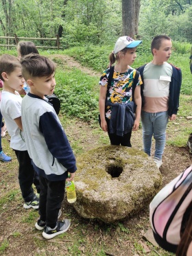 Artykuł: Rosną nam fantastyczni znawcy fauny i flory - Zdjęcie 35094