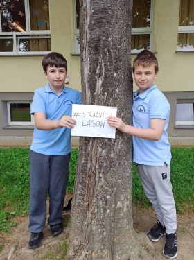 Artykuł: Przytulajcie z nami drzewa!   #straznicylasow  - Zdjęcie 35411