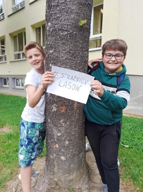 Artykuł: Przytulajcie z nami drzewa!   #straznicylasow  - Zdjęcie 354121