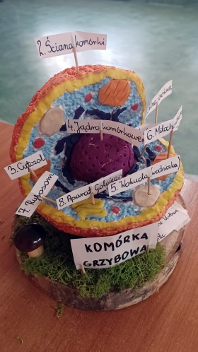 Artykuł: I teraz mikroskop już niepotrzebny - Zdjęcie 39523