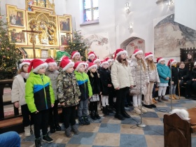 Artykuł: Rozśpiewane Świetliki - Zdjęcie 49175