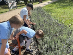 Artykuł: Młodzi przyrodnicy nie próżnują! - Zdjęcie 53422