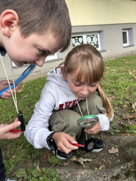 Artykuł: Co kryje ogród szkolny? - Zdjęcie 53804