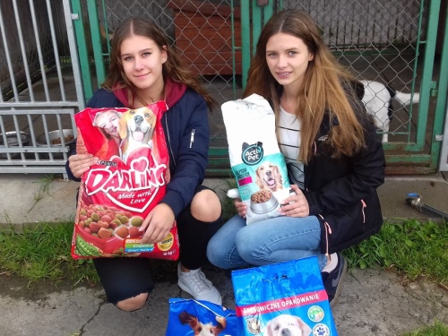 Artykuł: Do serca przytul psa, weź na kolana kota... - Zdjęcie 11632