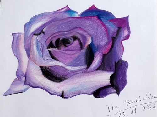 Artykuł: 