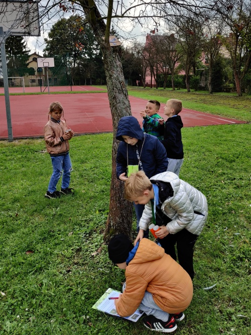 Artykuł: Jesień zbliża się wielkimi krokami..... - Zdjęcie 28424