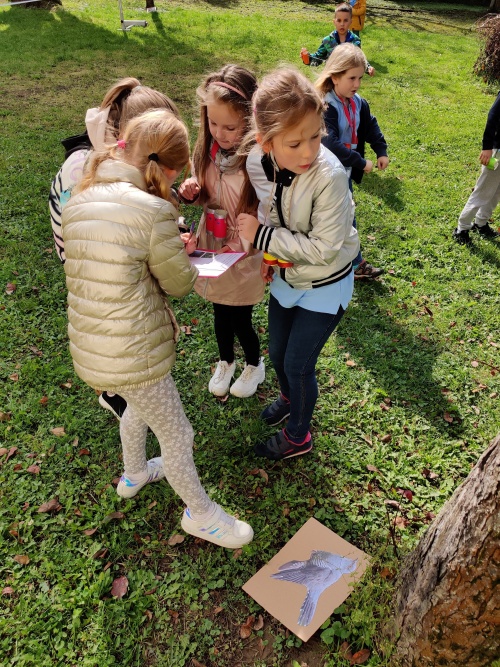 Artykuł: Jesień zbliża się wielkimi krokami..... - Zdjęcie 28444