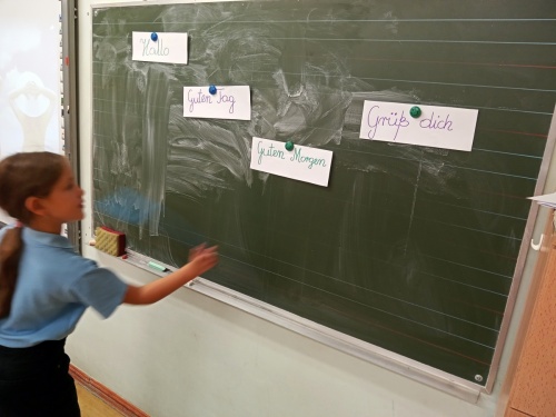 Artykuł: 