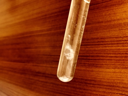 Artykuł: Bliskie spotkanie z DNA? To możliwe! - Zdjęcie 33623