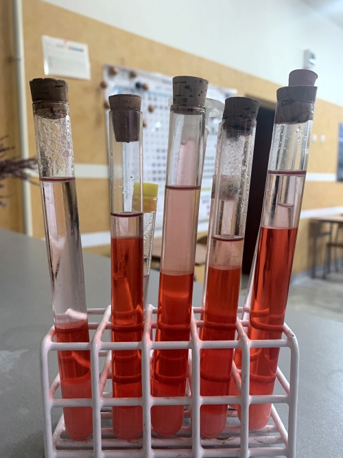 Artykuł: Patriotyczna lekcja chemii.  - Zdjęcie 37943