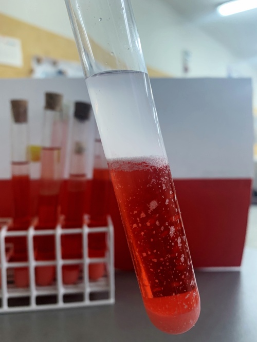 Artykuł: Patriotyczna lekcja chemii.  - Zdjęcie 37944