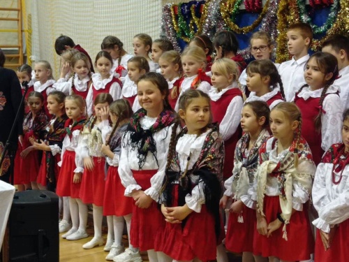 Artykuł: Świąteczne Świetliki - Zdjęcie 48461