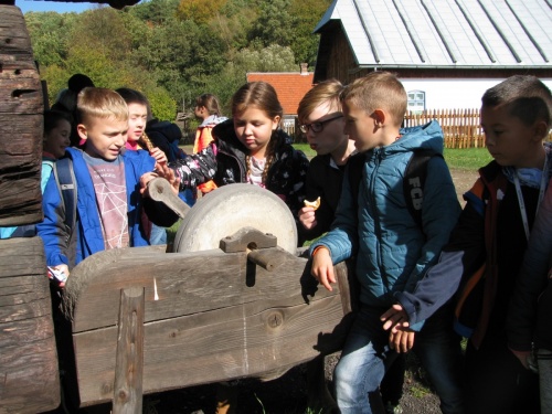 Artykuł: Piękne jest nasze Podkarpacie - Zdjęcie 6262